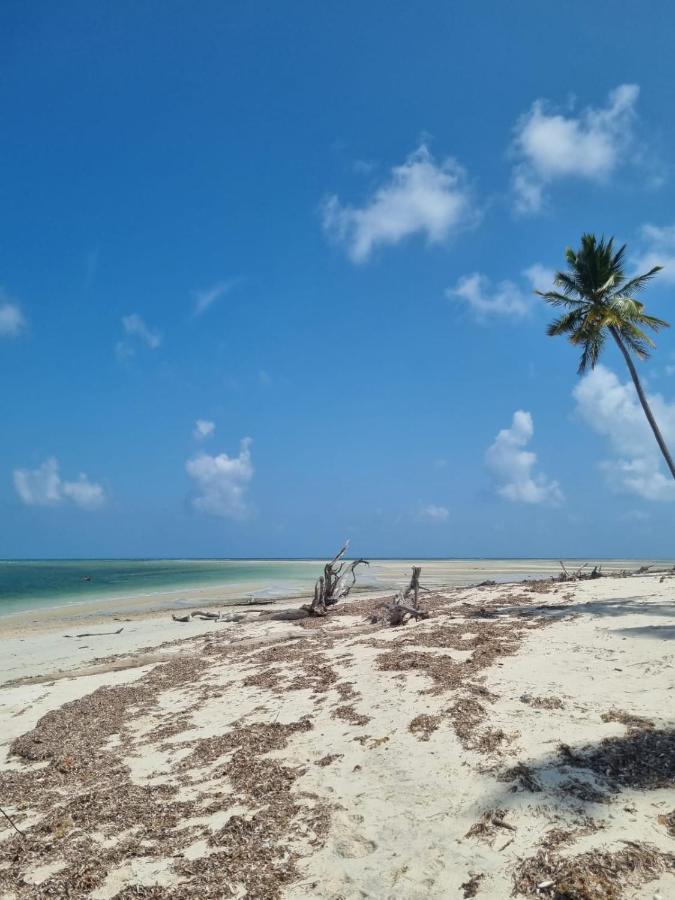 Mgeni Homestay كيليندوني المظهر الخارجي الصورة